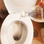 come-liberare-scarico-wc-intasato