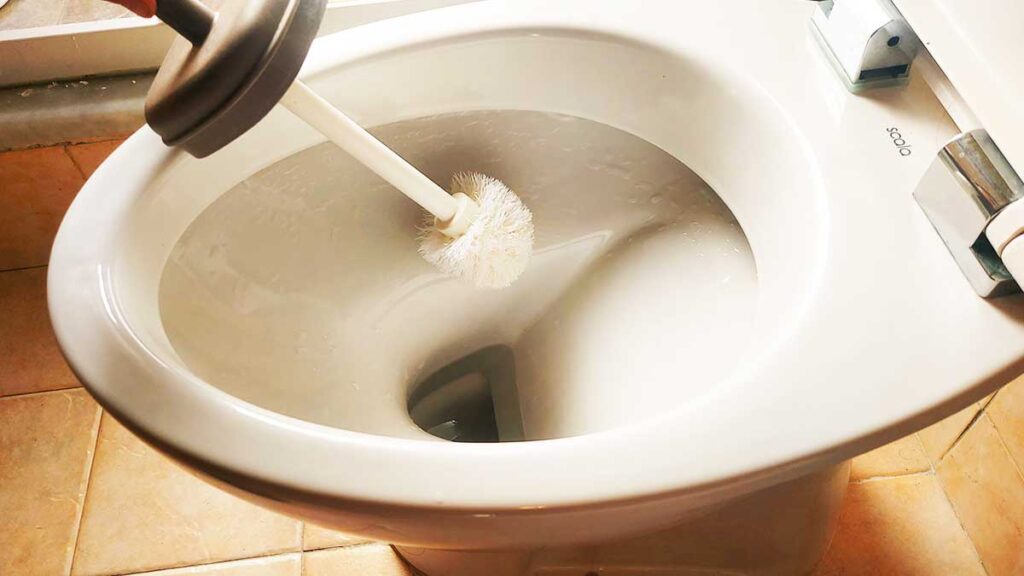 come-pulire-scopino-wc