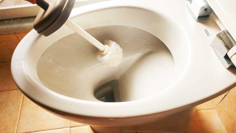 come-pulire-scopino-wc