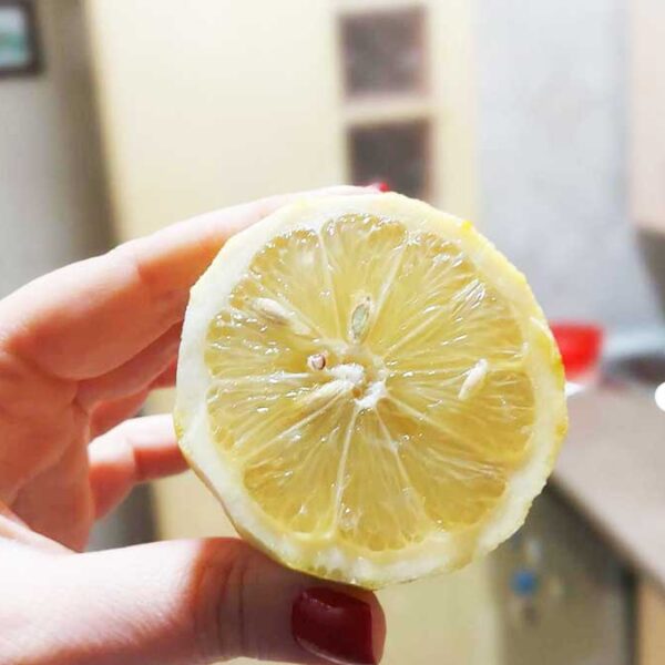 pulire-casa-limone