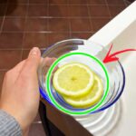 Come profumare il bagno di servizio che non ha le finestre