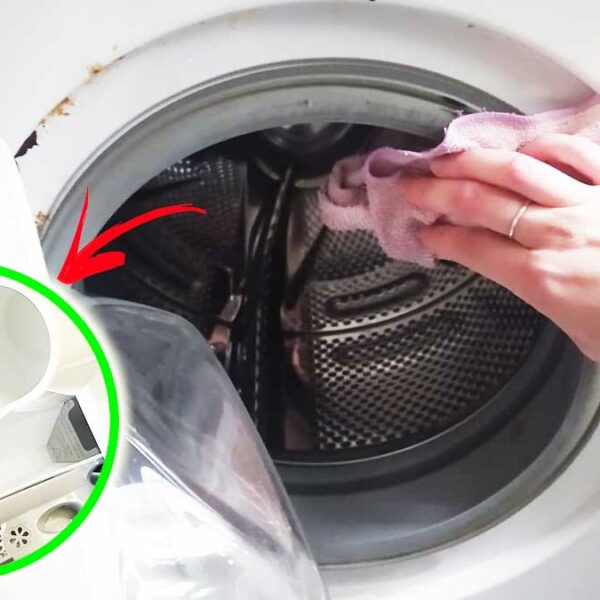 come-non-far-puzzare-lavatrice