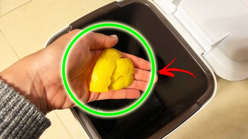 Come pulire e profumare la pattumiera con rimedi naturali