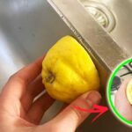 come-usare-limoni-spremuti