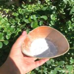 usare-bicarbonato-giardino