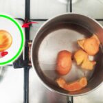 cattivi-odori-cucina