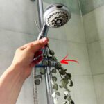 come-profumare-doccia-eucalipto