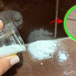 formiche-piccole-in-bagno