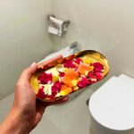 puzza-chiuso-bagno