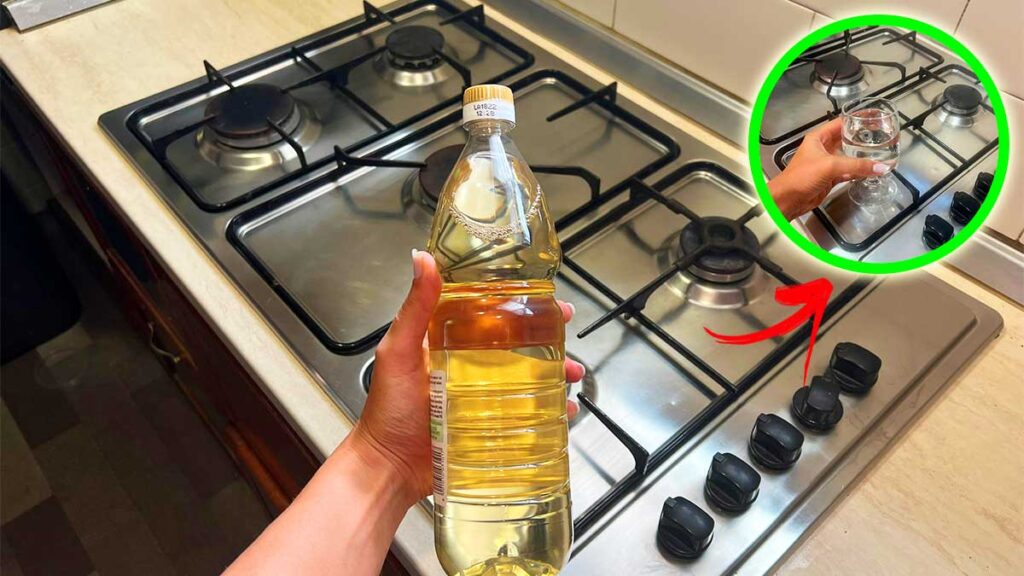 3+1 Modi per allontanare le Mosche con l’Aceto