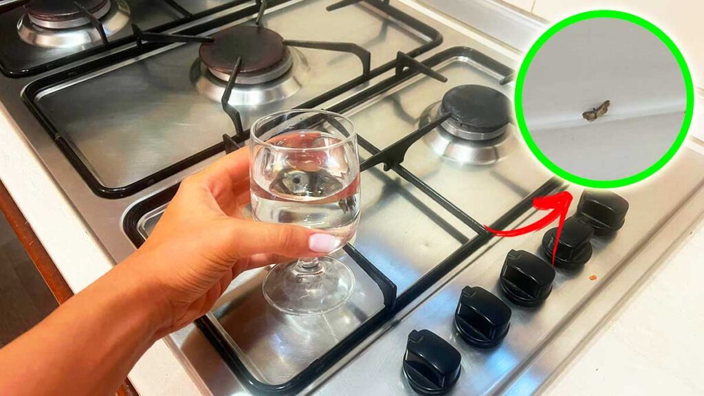I 3 Angoli della casa in cui è più facile trovare Insetti