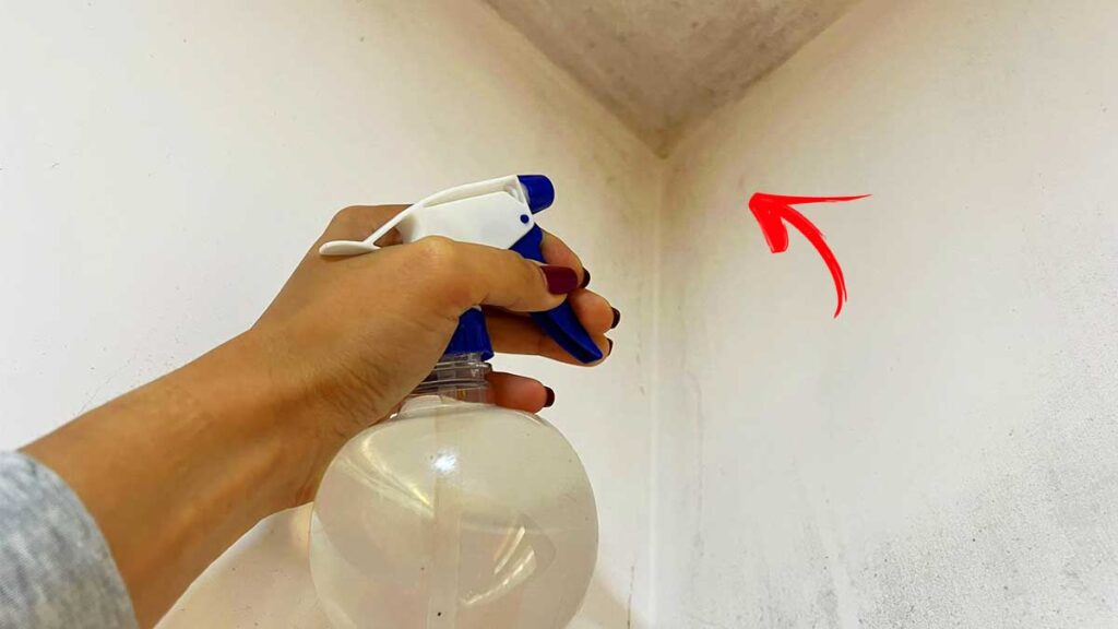 Come togliere le macchie di Muffa e Condensa dai muri in Bagno