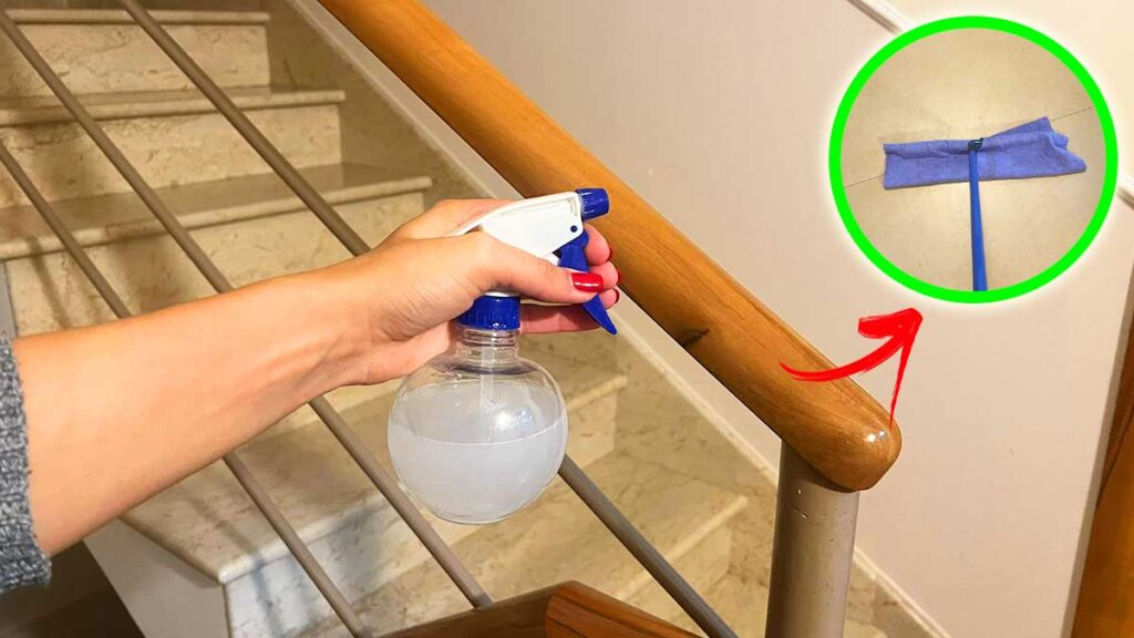 3+1 Detersivi Naturali e fatti in casa che ancora non conosci