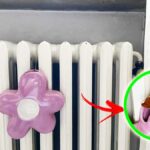 cosa-mettere-in-umidificatore-termosifone
