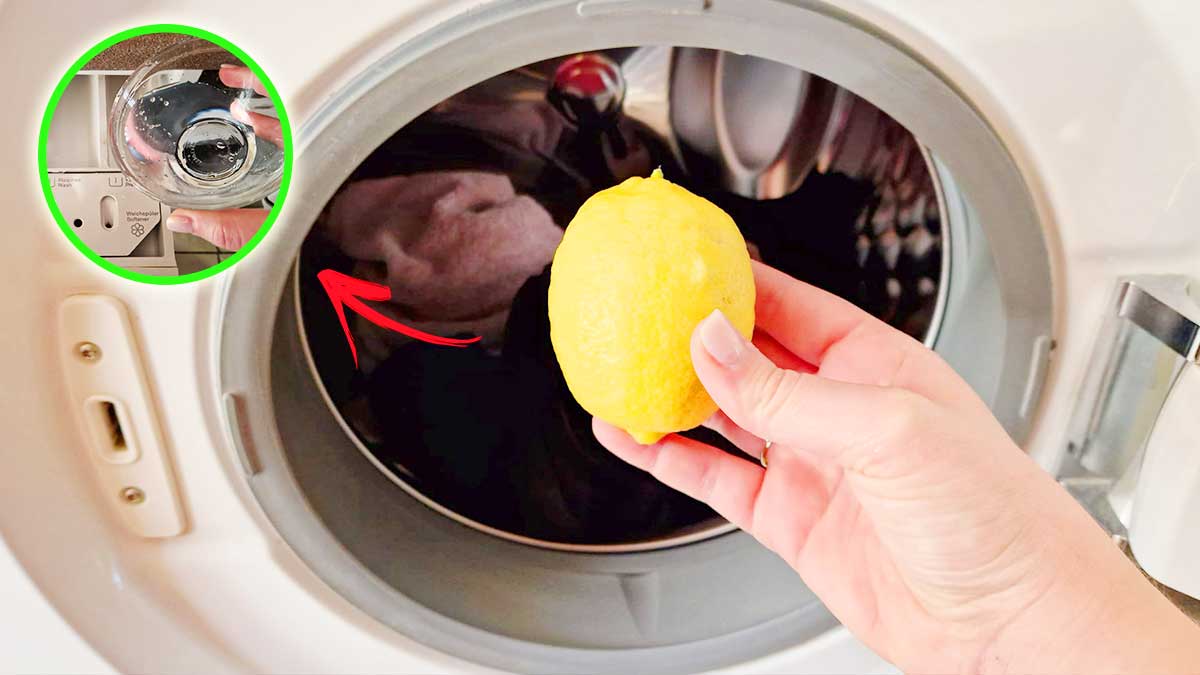 limone-lavatrice