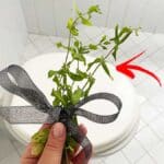 Come profumare il bagno con le foglie della menta