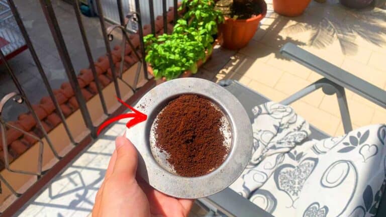zanzare-trucco-caffe
